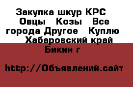 Закупка шкур КРС , Овцы , Козы - Все города Другое » Куплю   . Хабаровский край,Бикин г.